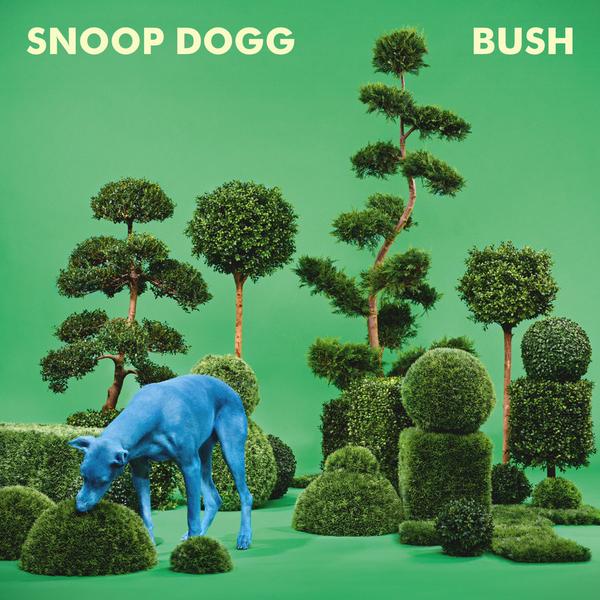 Bush_Album_tapa