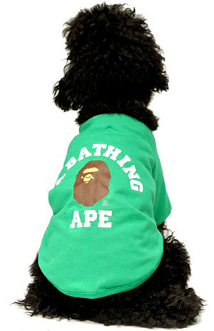 A Bathing Ape Dog Store