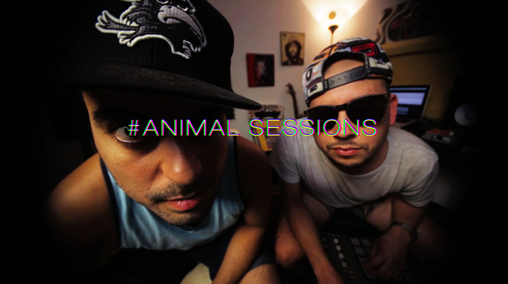 animals session