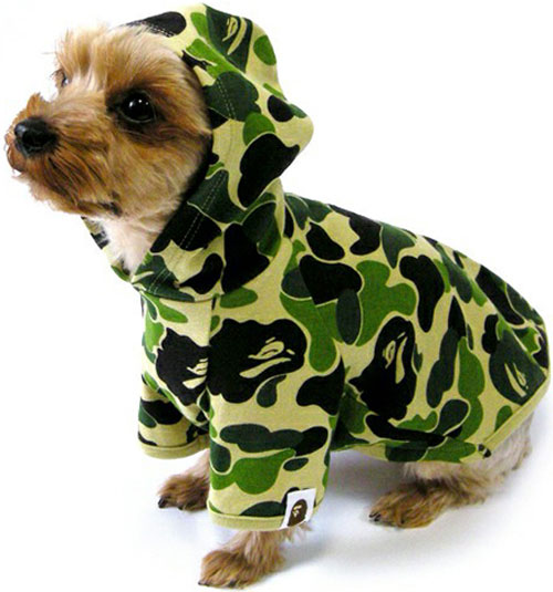 Ropa Hip Hop BAPE para perros